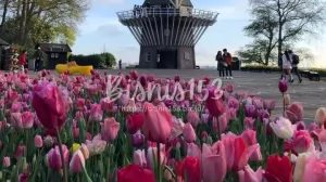 kelebihan-dan-kekurangan-bangunan-rumah-zaman-belanda-di-indonesia-analisis-mendalam-sebelum-membeli